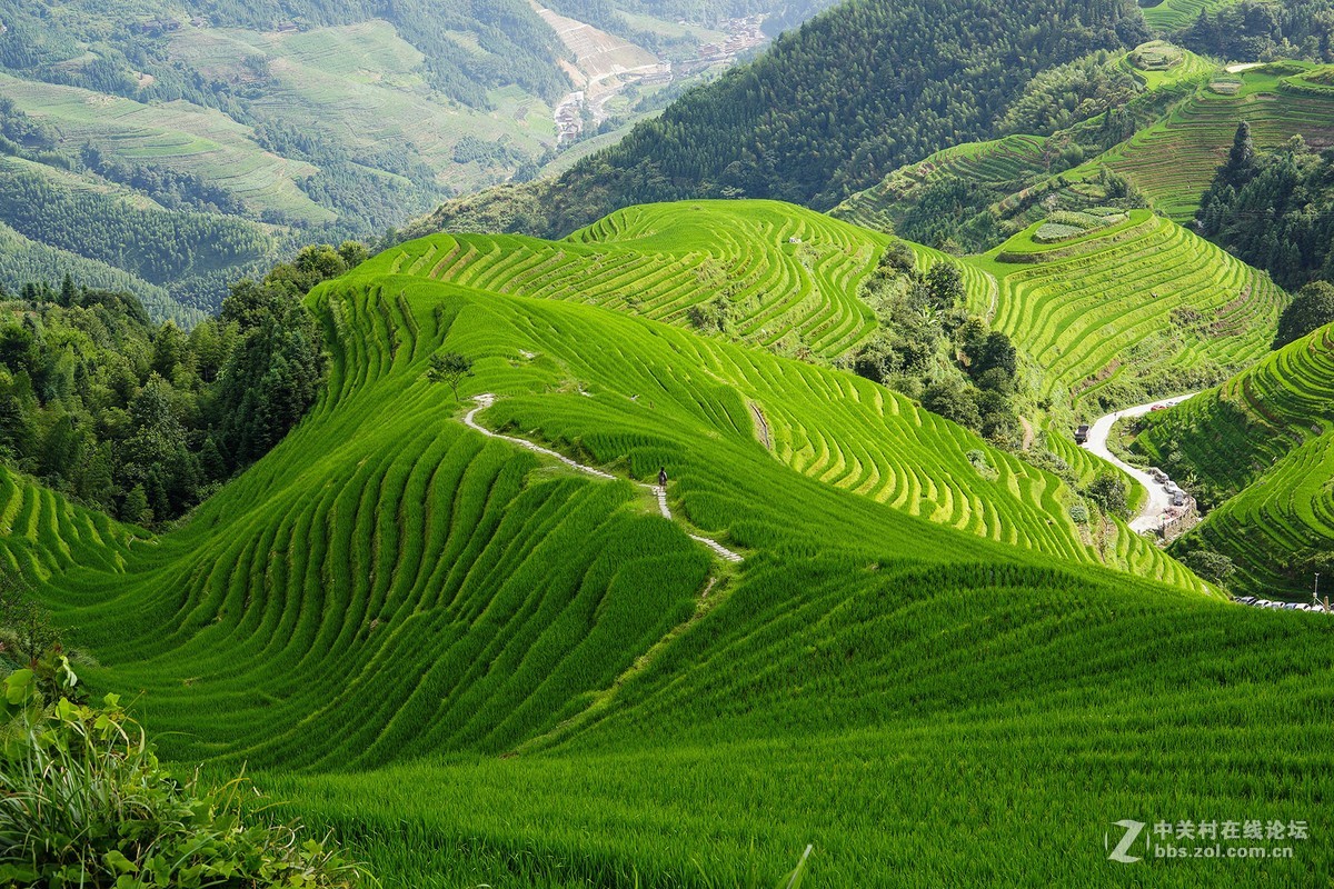 广西龙脊梯田 请各位指教