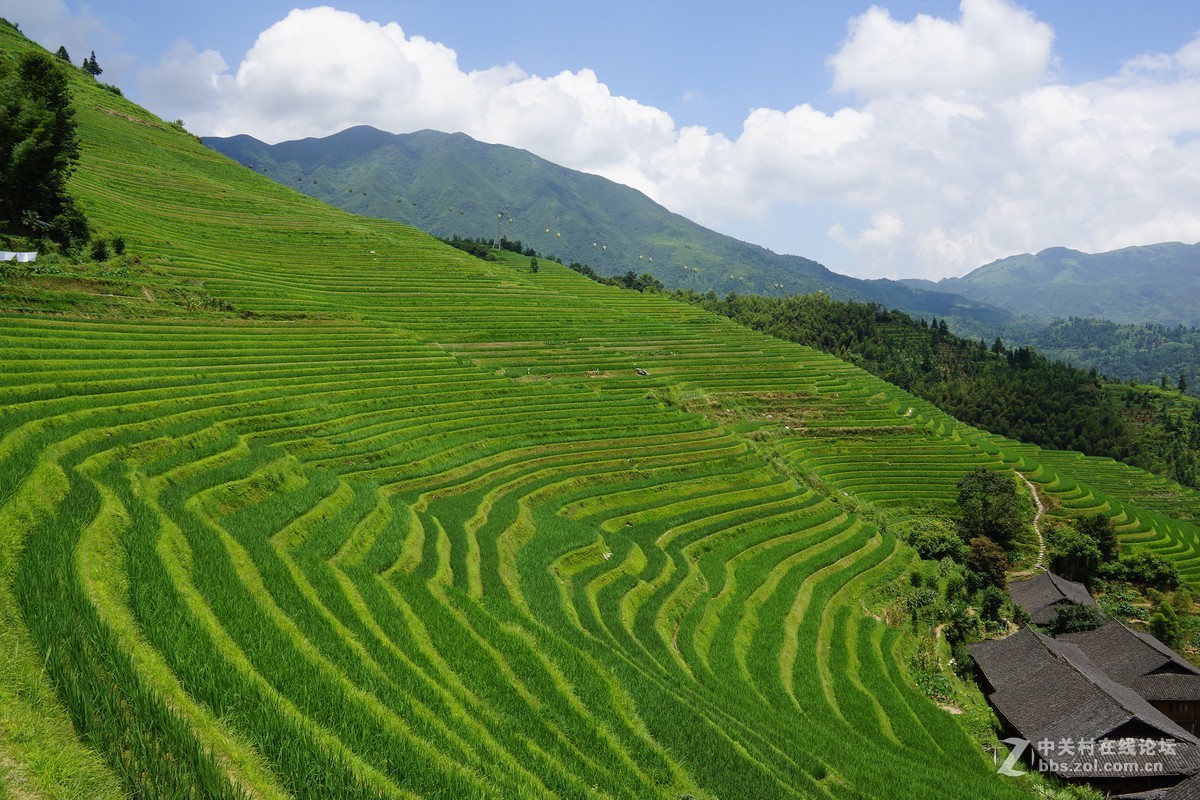 广西龙脊梯田 请各位指教