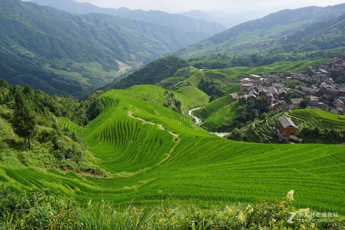 广西龙脊梯田 请各位指教