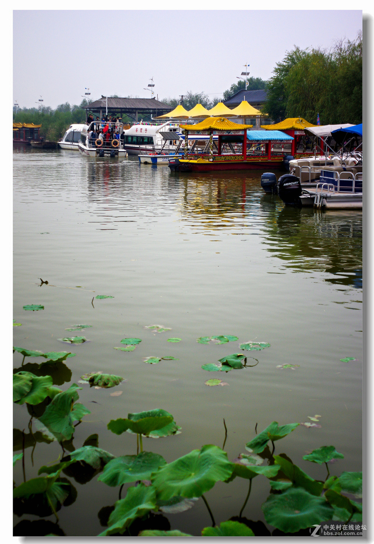 洽川处女泉国庆游拍