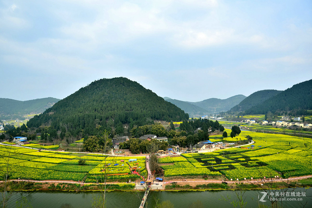 油菜花香三元镇