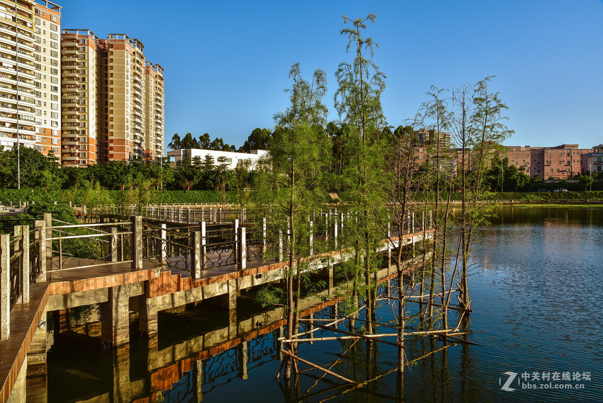 阳江金山公园中珠在水一方小景