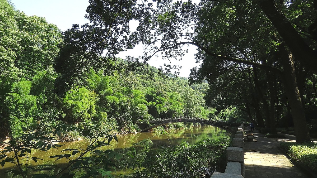 盛夏的重庆南温泉公园