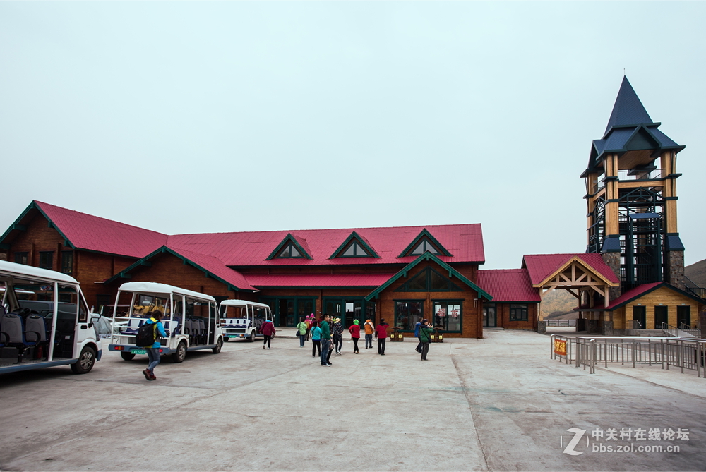 额尔古纳白桦林