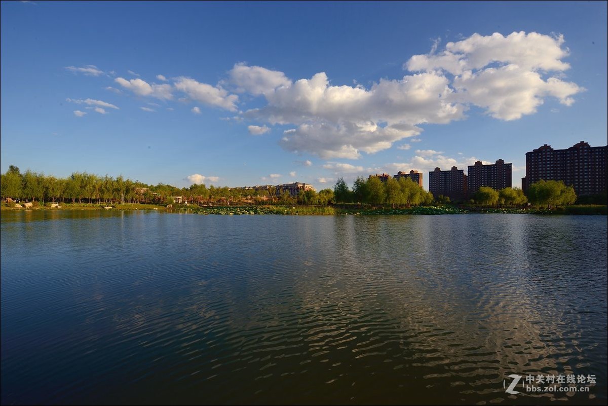 休闲随拍（334）