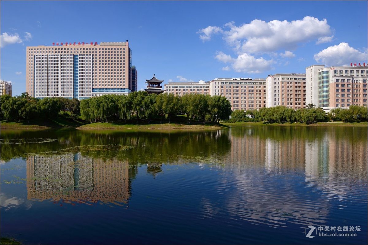 休闲随拍（334）