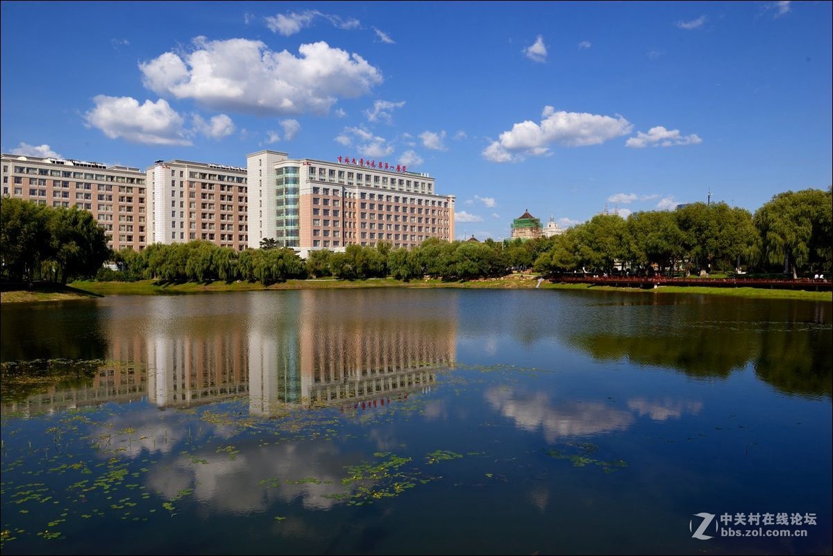 休闲随拍（334）