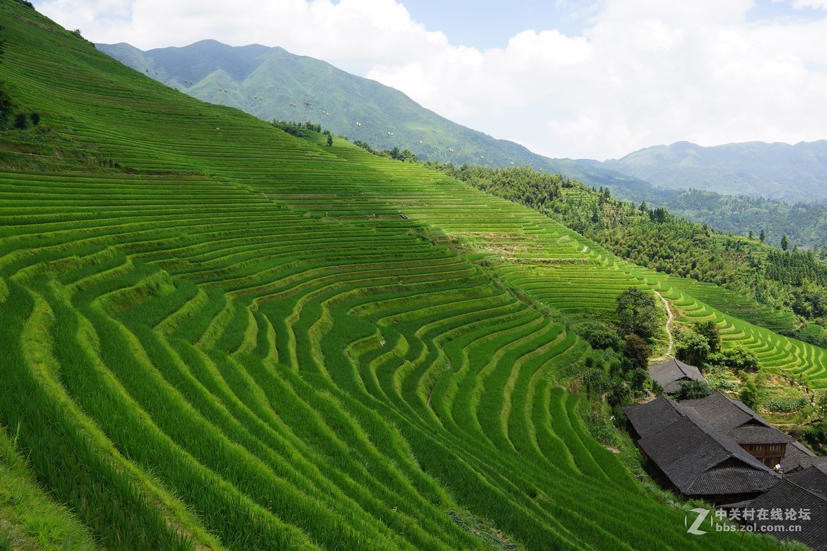 广西龙脊梯田 请各位指教