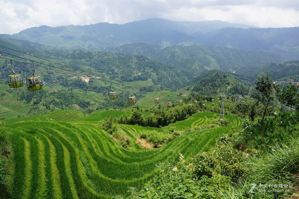 广西龙脊梯田 请各位指教