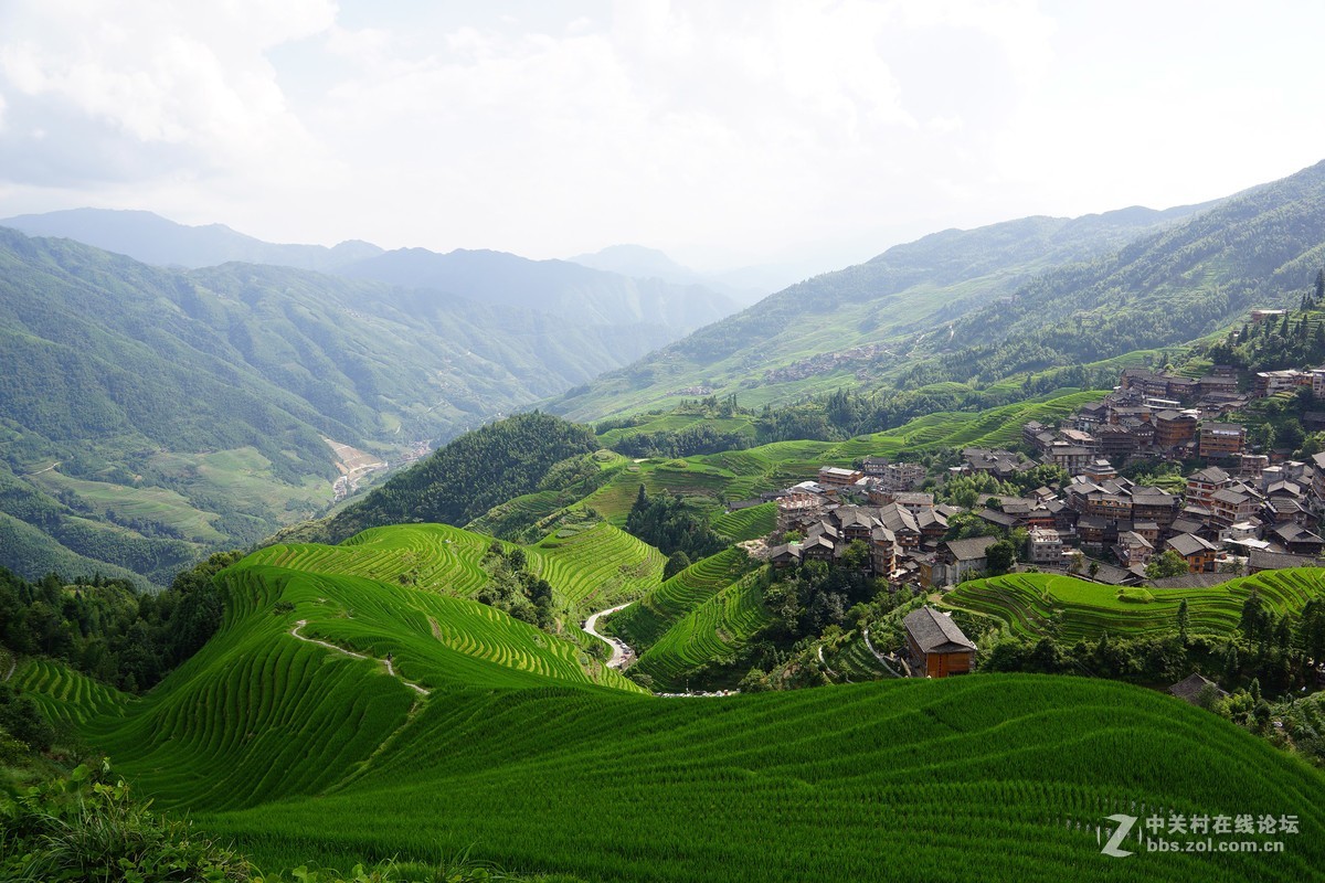 广西龙脊梯田 请各位指教