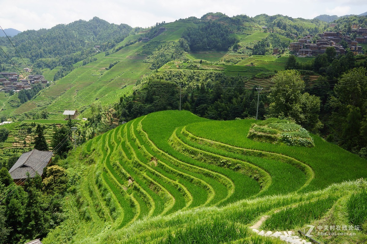 广西龙脊梯田 请各位指教