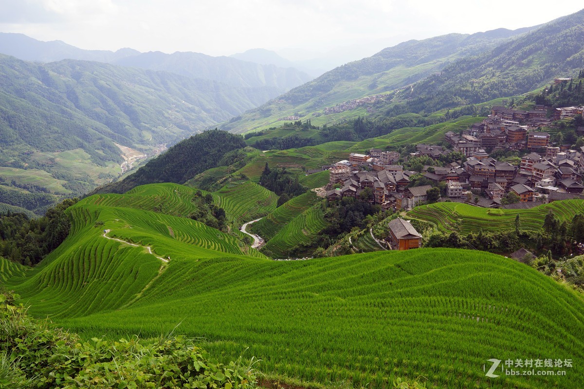 广西龙脊梯田 请各位指教