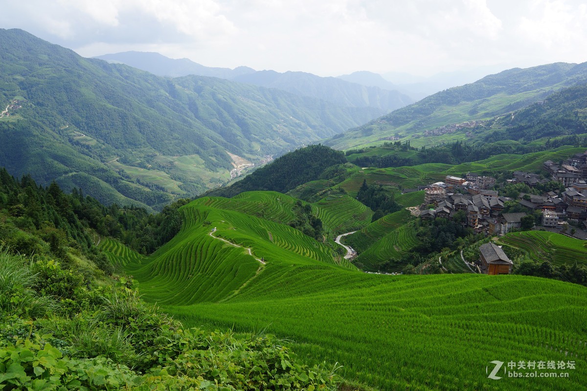 广西龙脊梯田 请各位指教