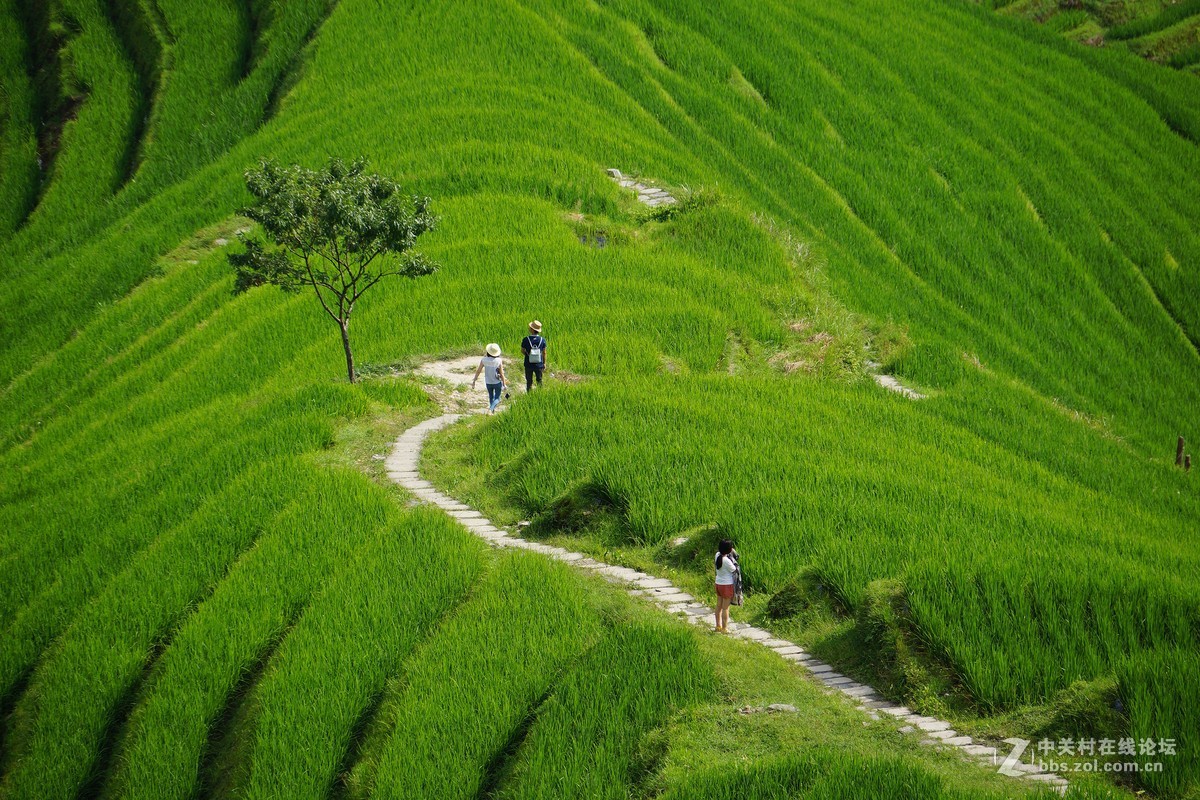 广西龙脊梯田 请各位指教