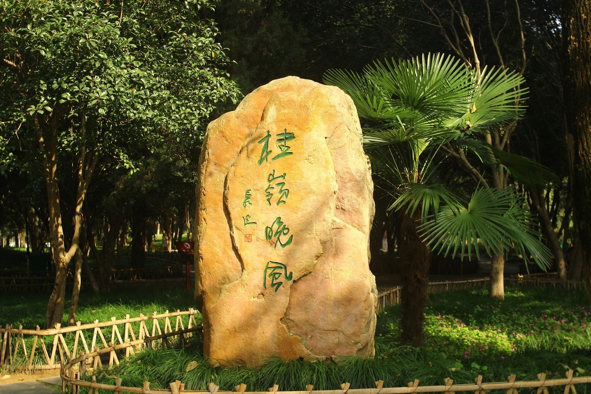 公园走走散心拍摄