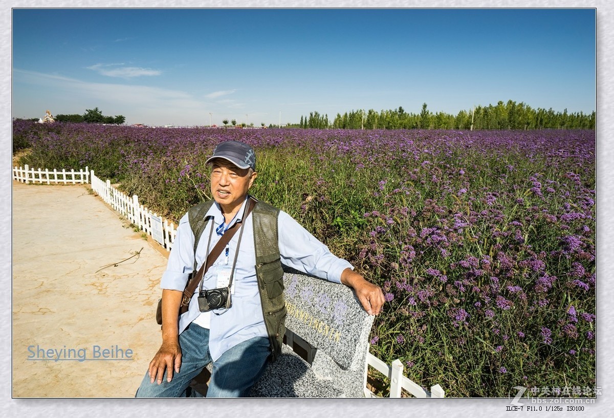 腾格里沙漠湿地 .金沙岛-续