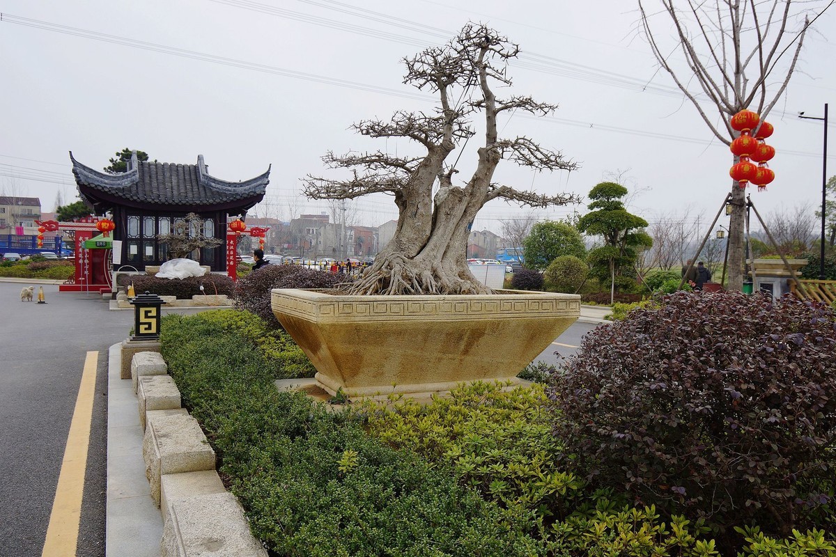 湖北汉川天屿湖风光-续（一）！。。。。。