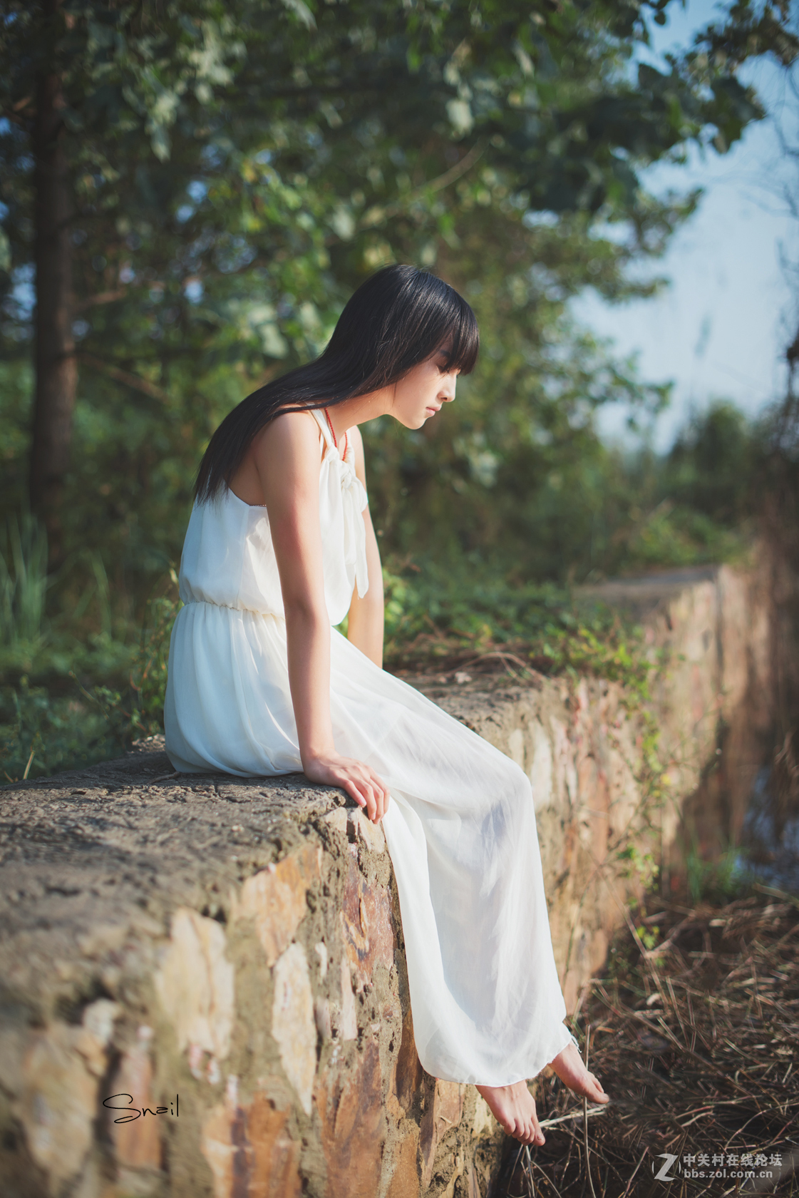 一个轮回，再次回到尼康。