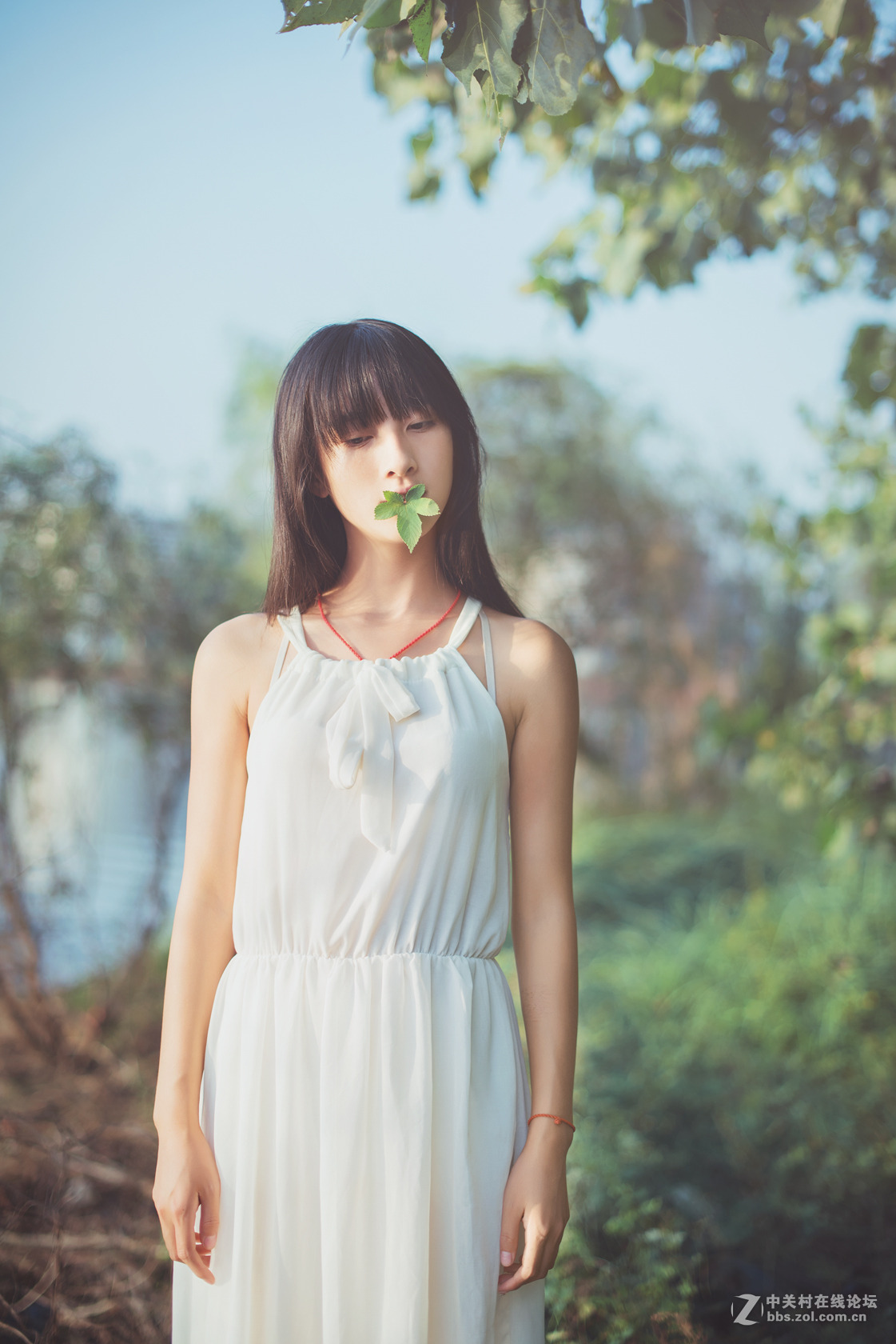 一个轮回，再次回到尼康。