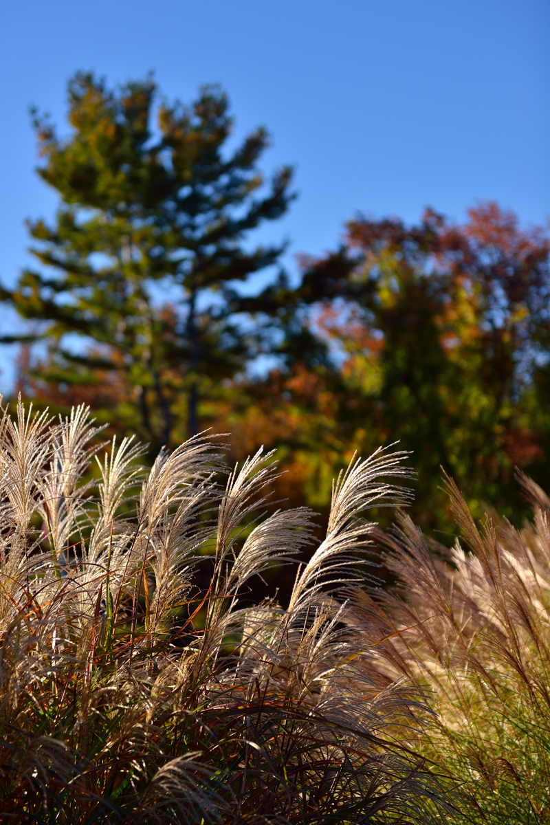 休闲随拍（194）