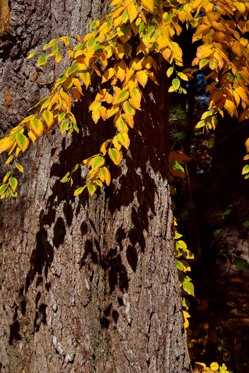 休闲随拍（194）