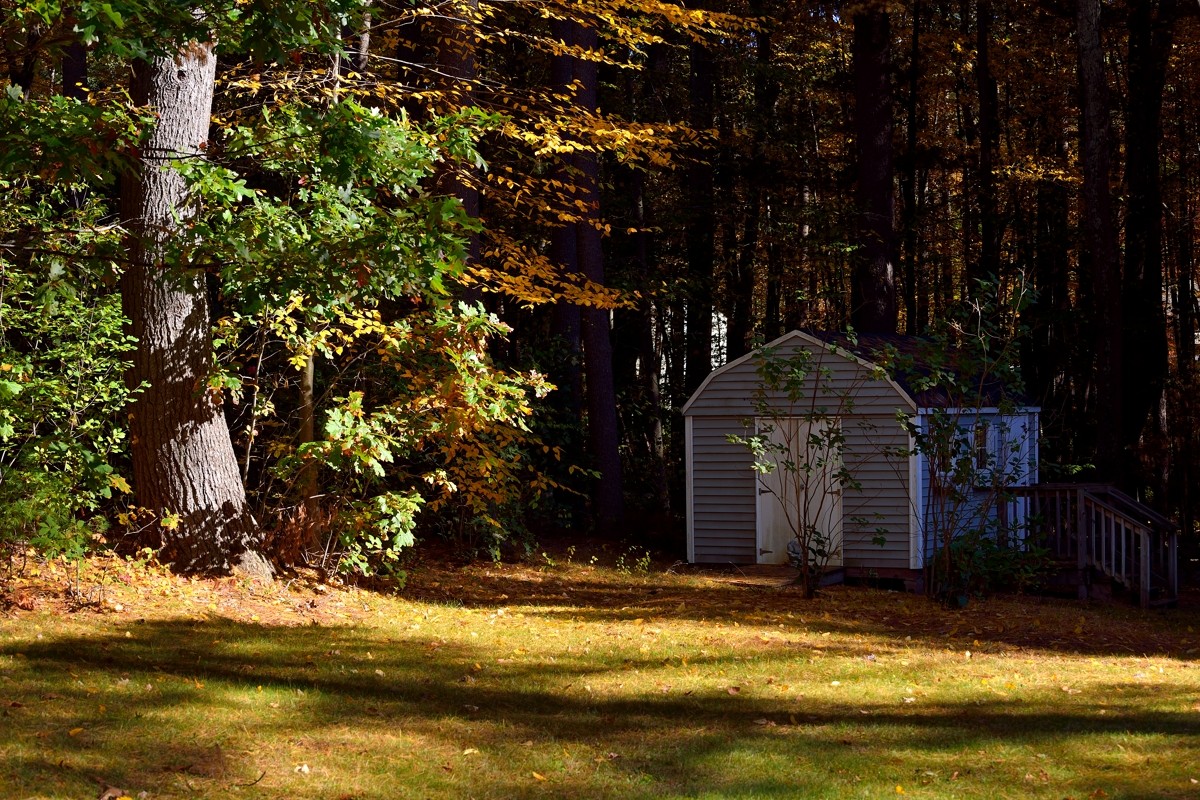 休闲随拍（194）