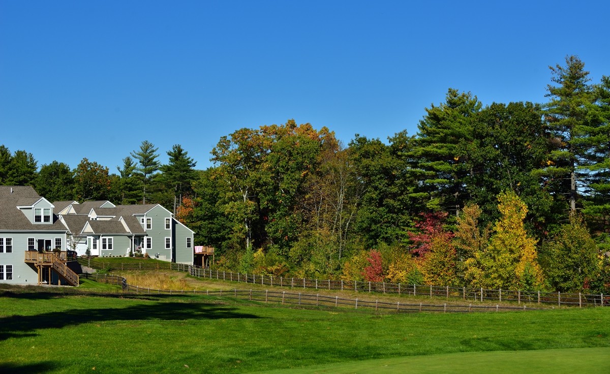 休闲随拍（194）