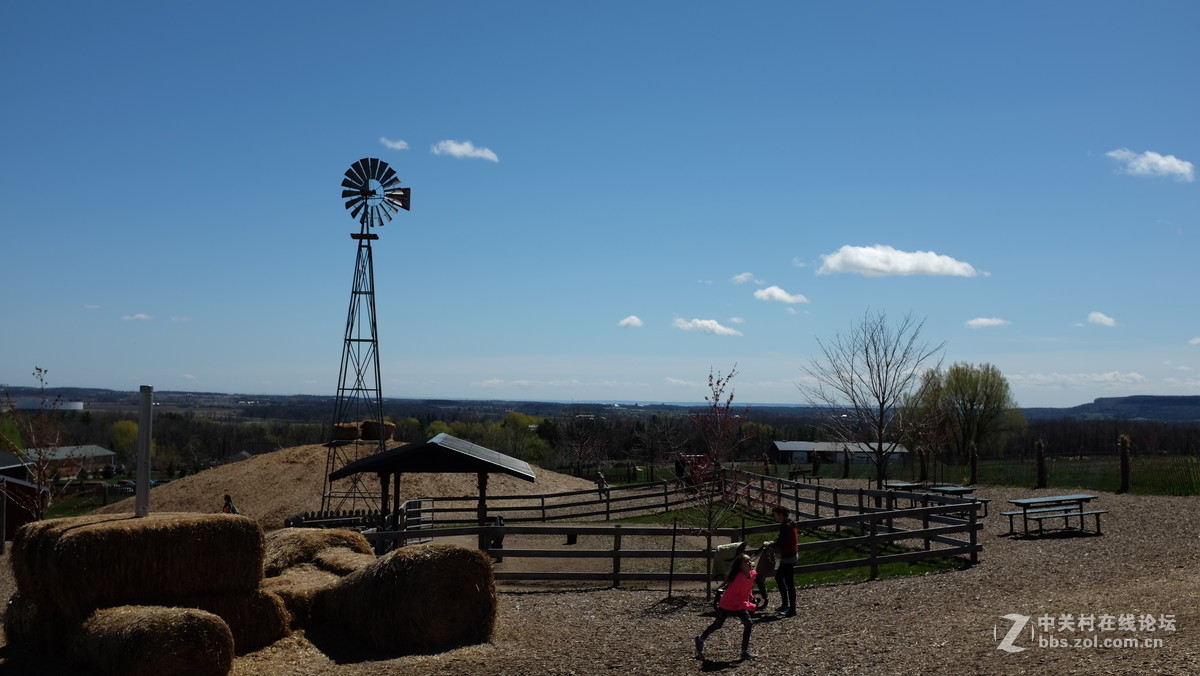 复活节后的农场