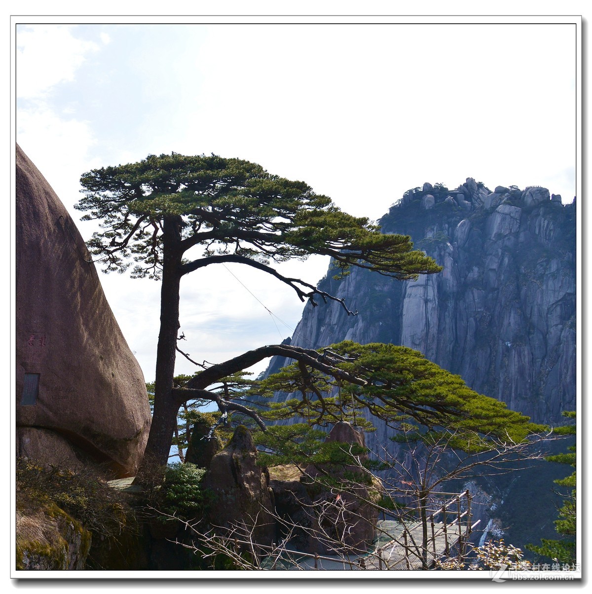 江山多娇——黄山风光