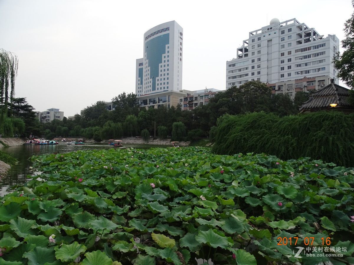 17年郑州紫荆山公园荷花节