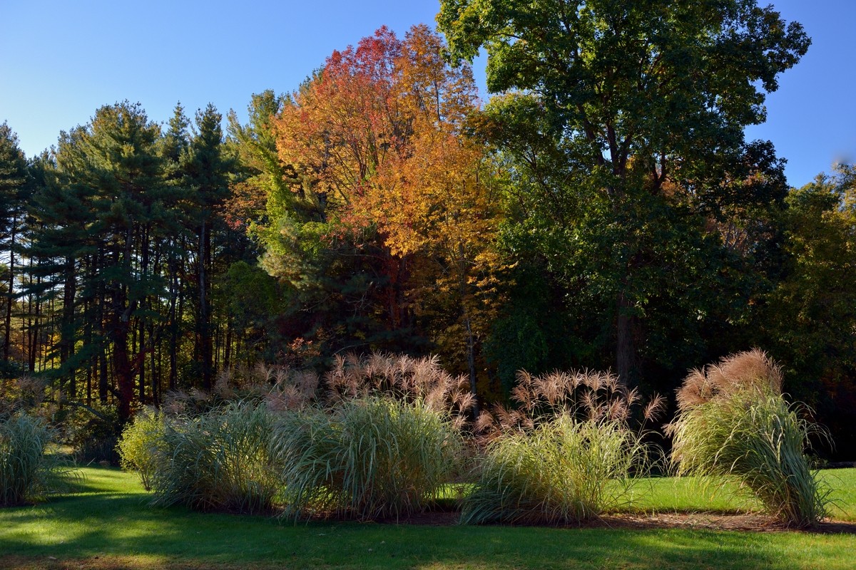 休闲随拍（194）