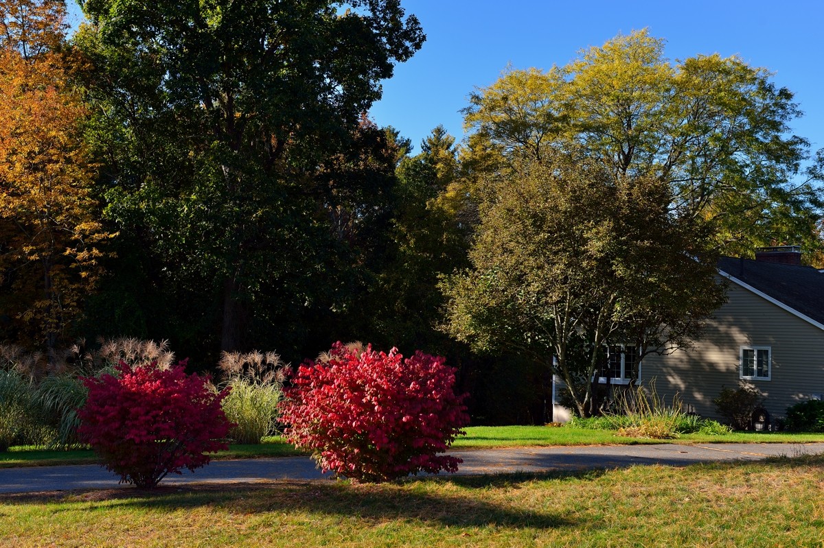 休闲随拍（194）