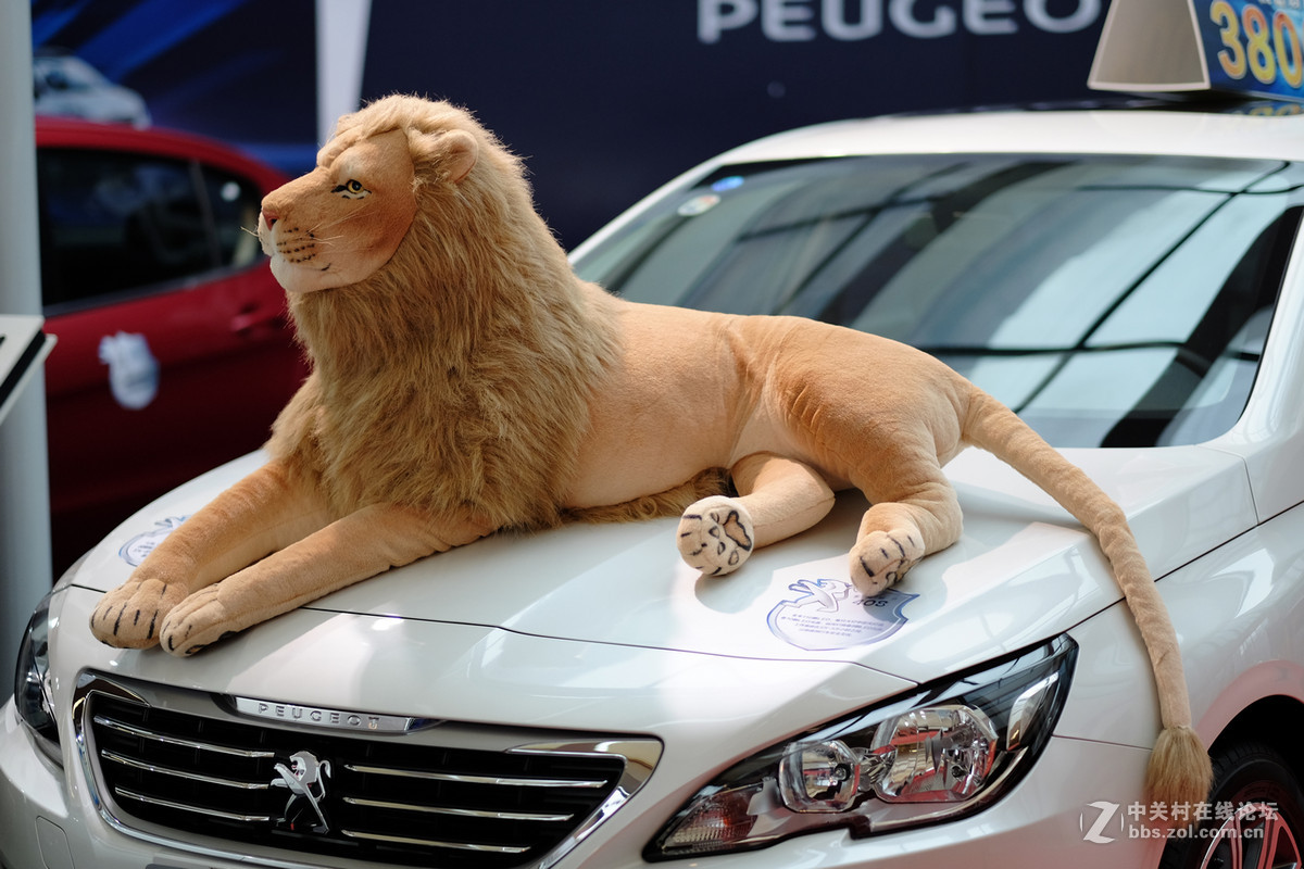 2016白云国际車展車模