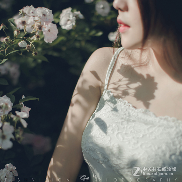 《花漾》【菲希视觉作品】