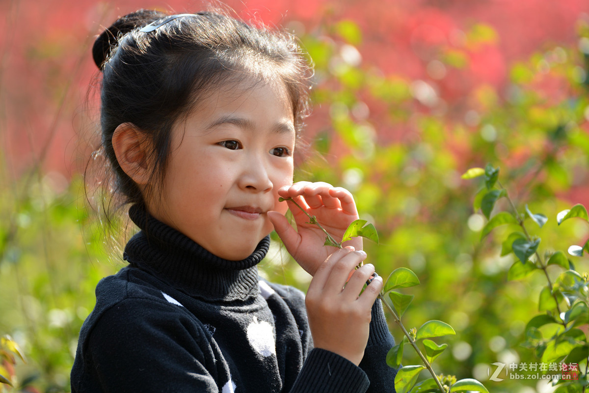 我用腾龙70-200 2.8 VC USD镜头拍的照片  这支镜头我越用越喜欢