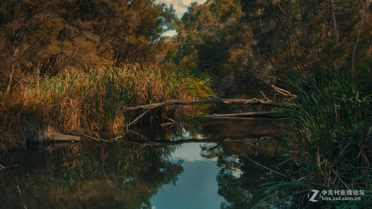 === 我感觉的电影色调 ===