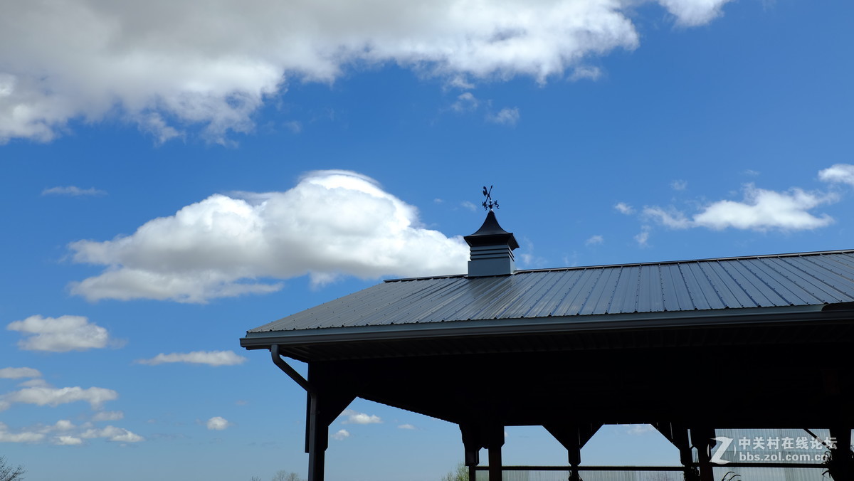 复活节后的农场