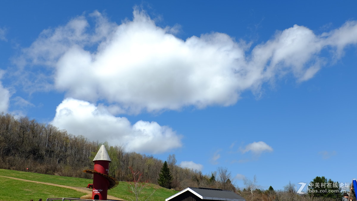 复活节后的农场