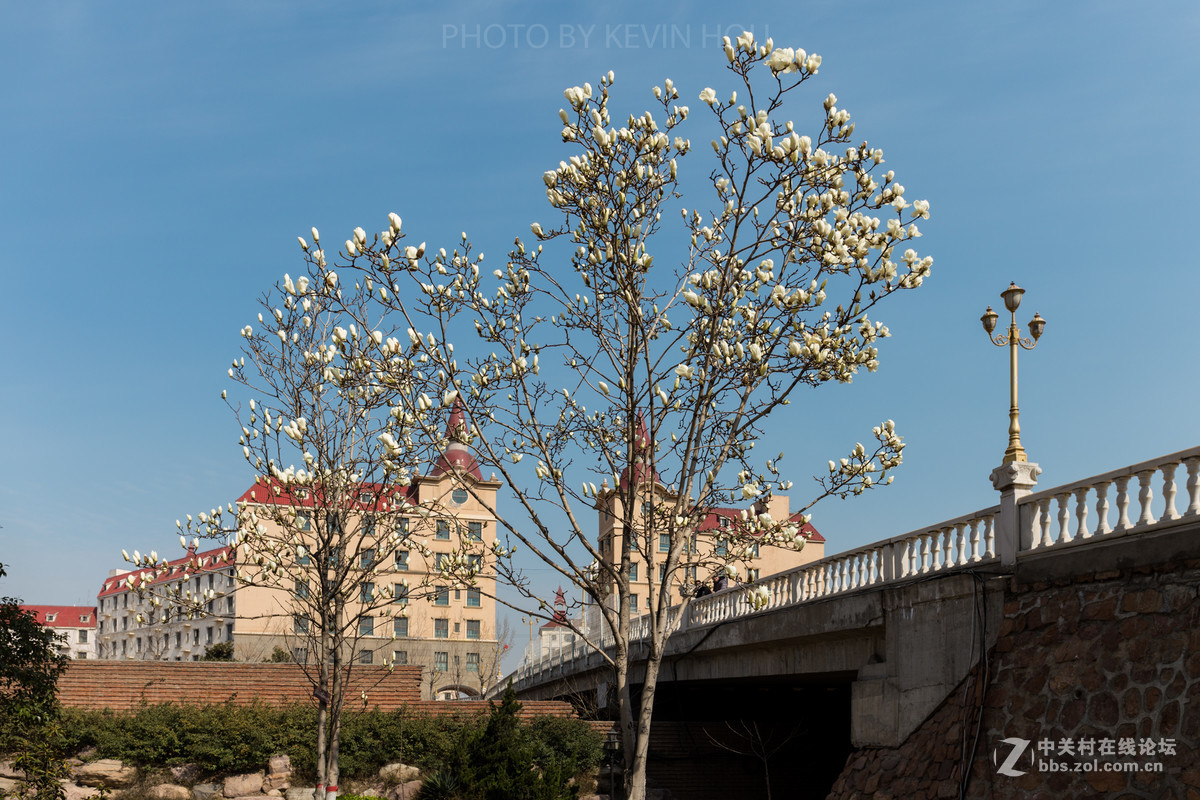 #佳能月赛-与佳能一起去踏青#  春暖花开惹人醉