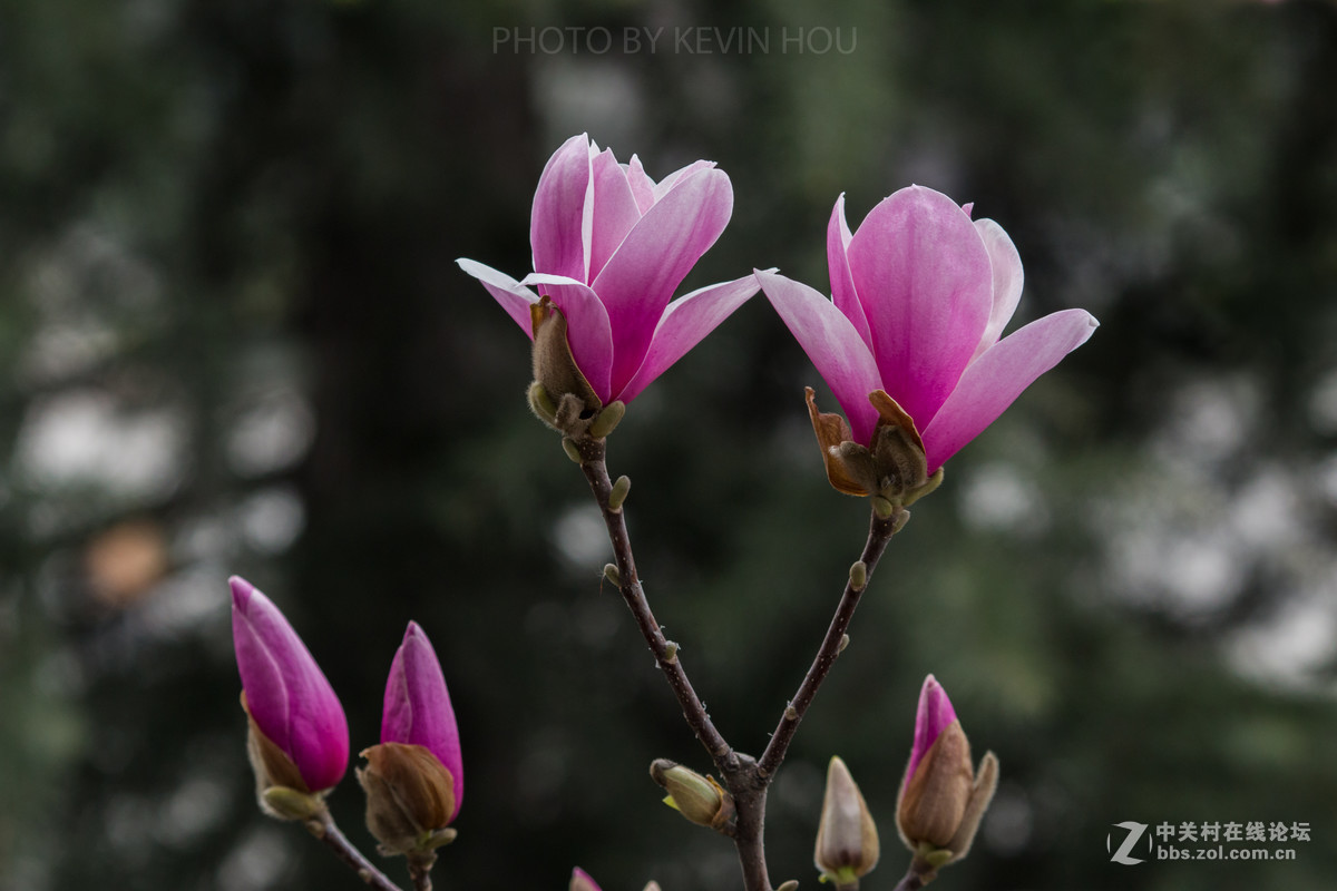 #佳能月赛-与佳能一起去踏青#  春暖花开惹人醉