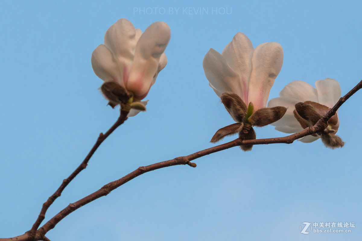 #佳能月赛-与佳能一起去踏青#  春暖花开惹人醉