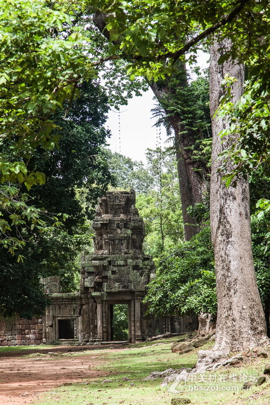 行摄吴哥(二)大吴斗象台和王宮遗址
