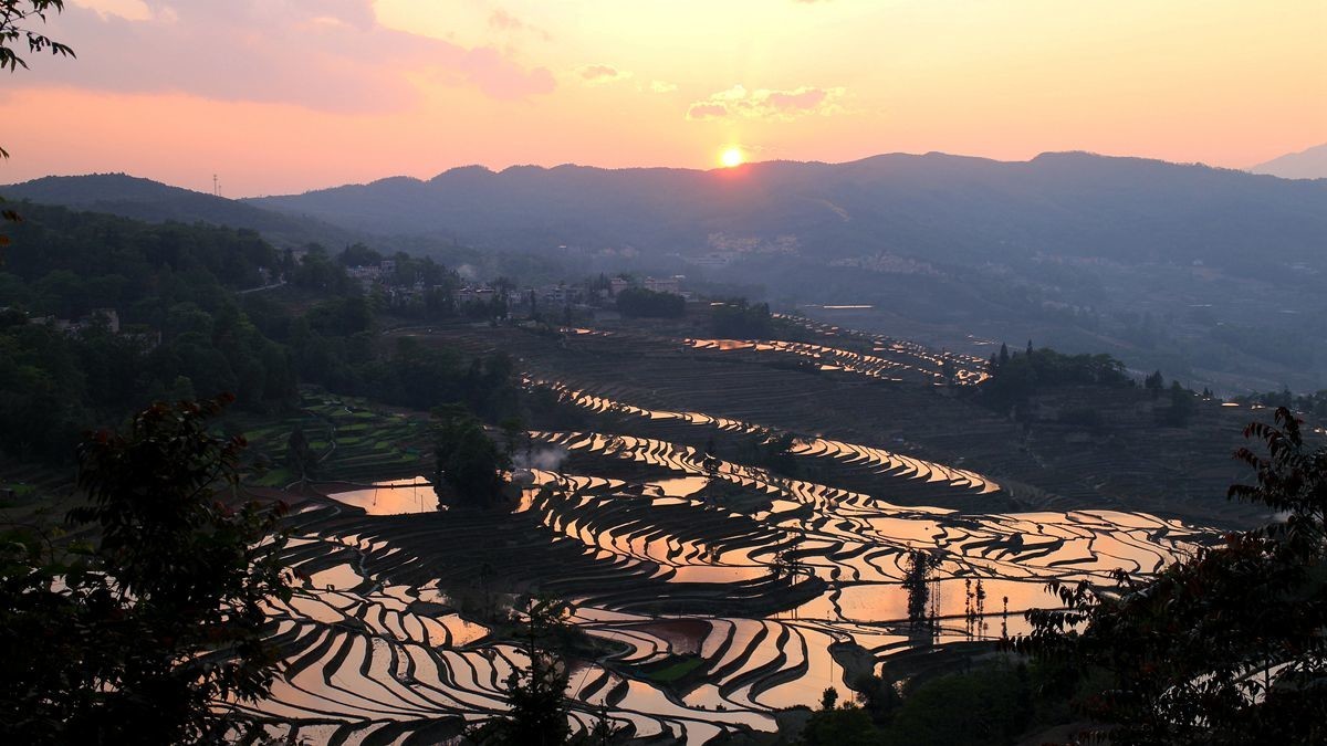 元阳梯田坝达日落