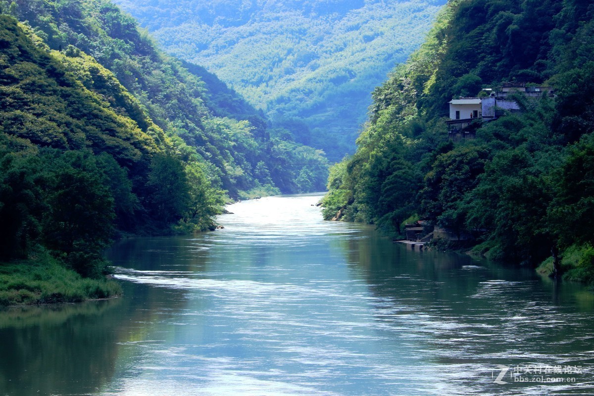 随拍河畔风景