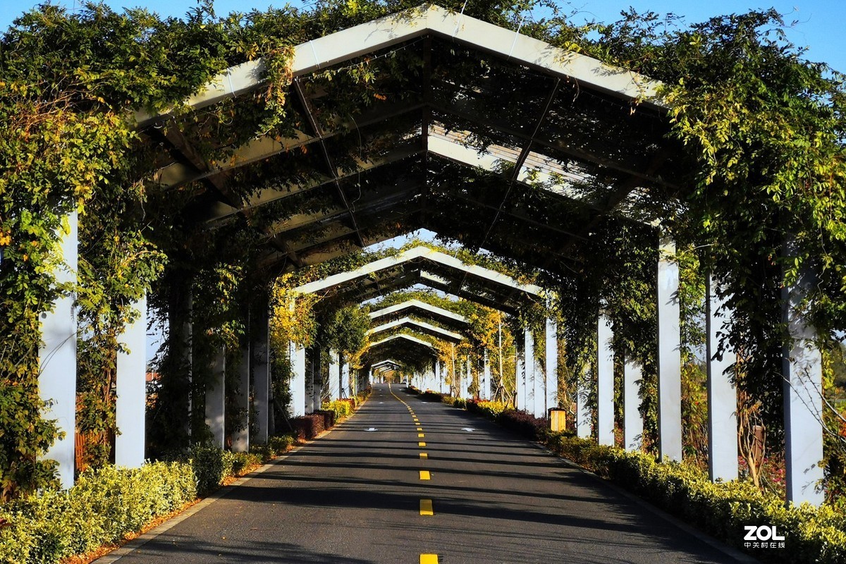 郊 野 水 衫