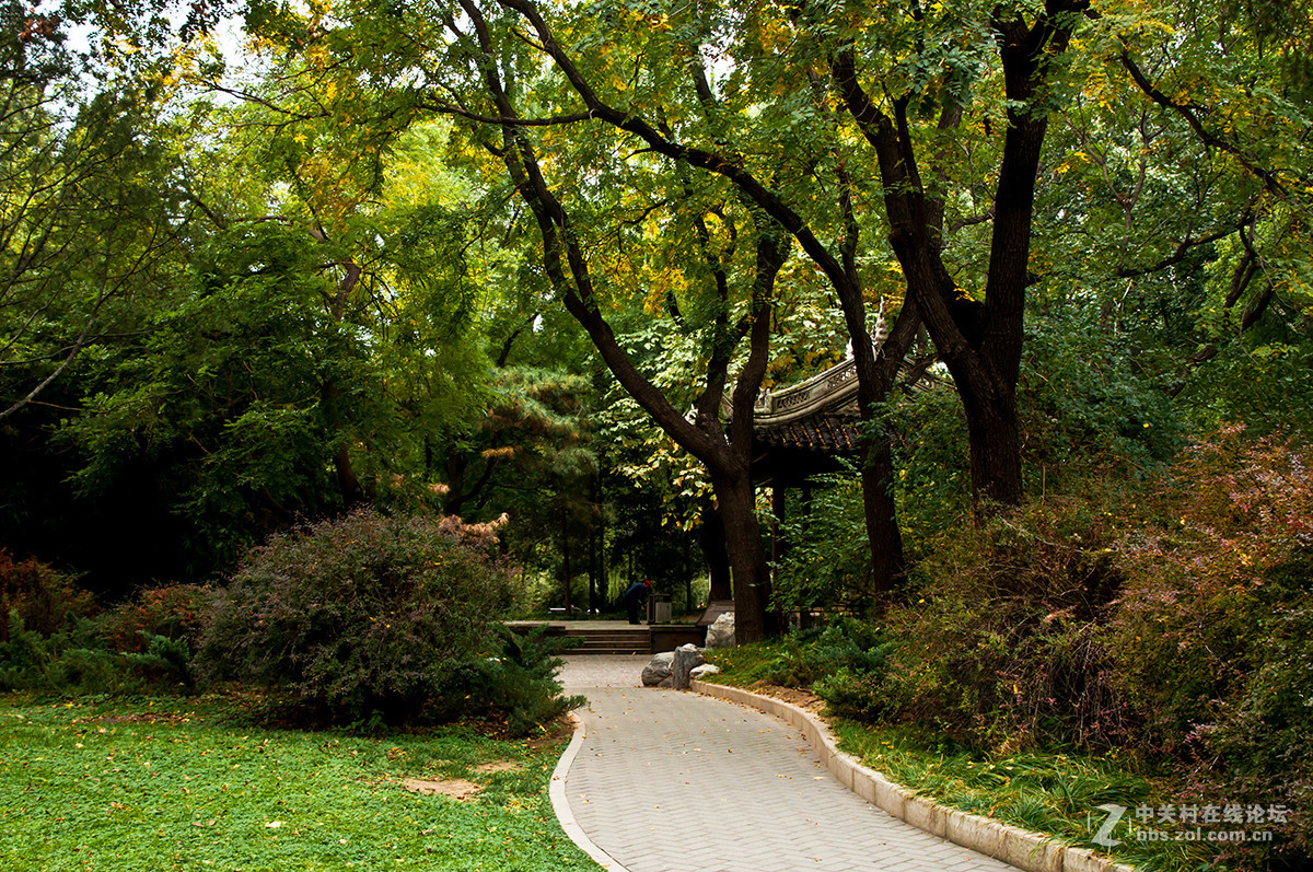 陶然秋色（续）