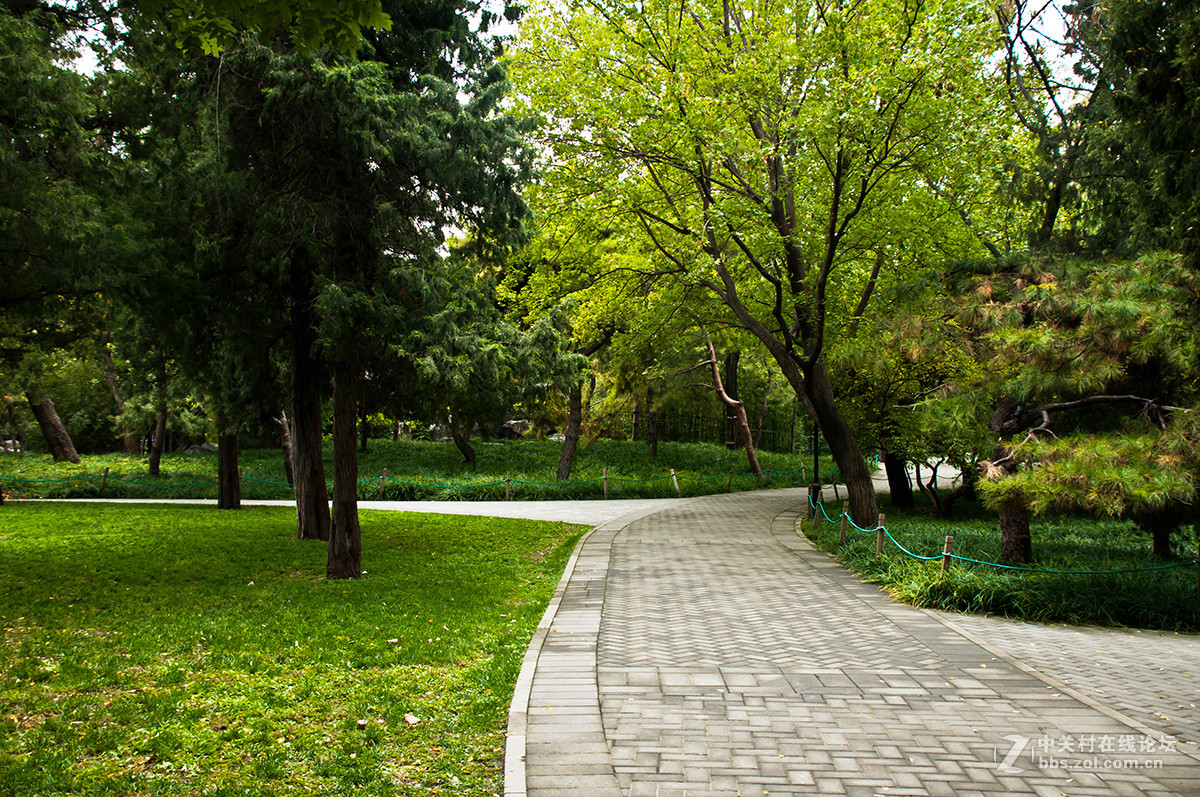 陶然秋色（续）