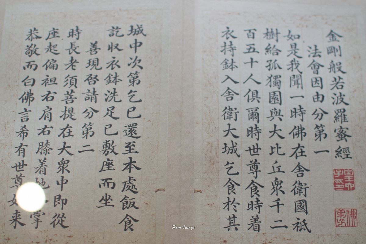 小而精，素质不含糊！（D3100与35 1.8gDX游南京！高清多图！）