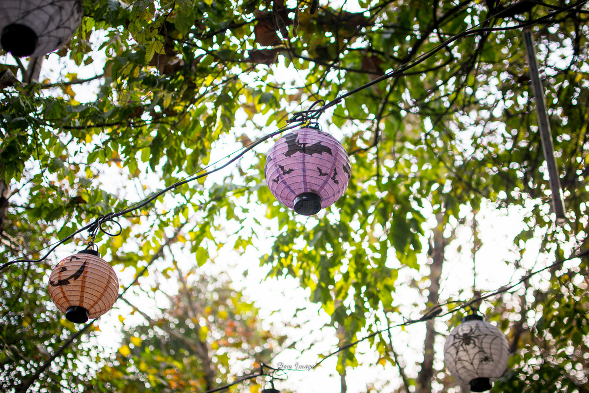 小而精，素质不含糊！（D3100与35 1.8gDX游南京！高清多图！）