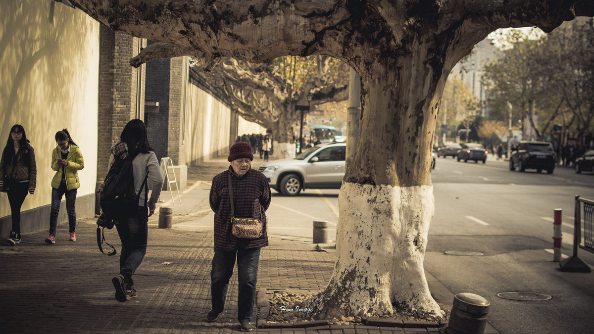 小而精，素质不含糊！（D3100与35 1.8gDX游南京！高清多图！）